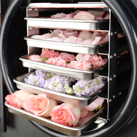 5 Layers Home Black Freeze Dryer
